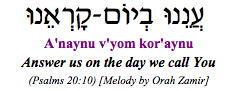 "Anaynu v'yom kor-aynu - Answer us on the day we call You." (Psalms 20:10)